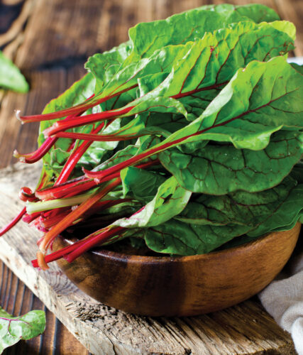 Big or Small: Grow a Greens Garden This Fall